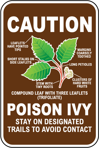 Caution Poison Ivy Sign